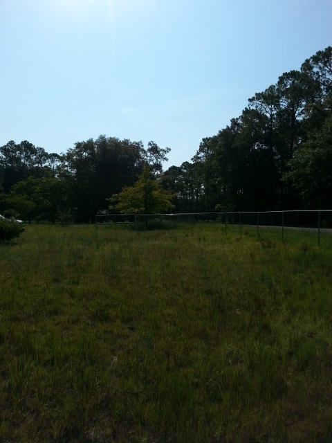 2186 West Fern Street Perry, FL 32347 - Photo 1 of 23