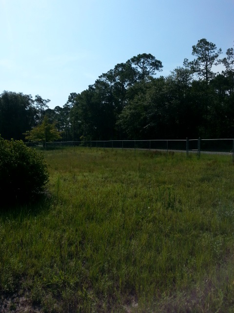 2186 West Fern Street Perry, FL 32347 - Photo 2 of 23