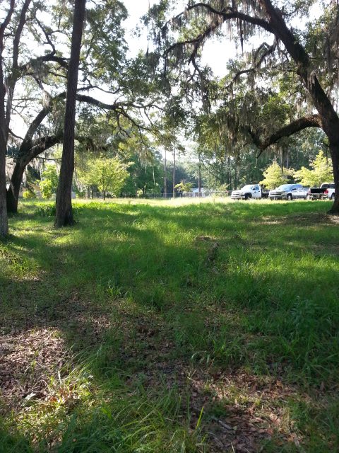 2186 West Fern Street Perry, FL 32347 - Photo 7 of 23