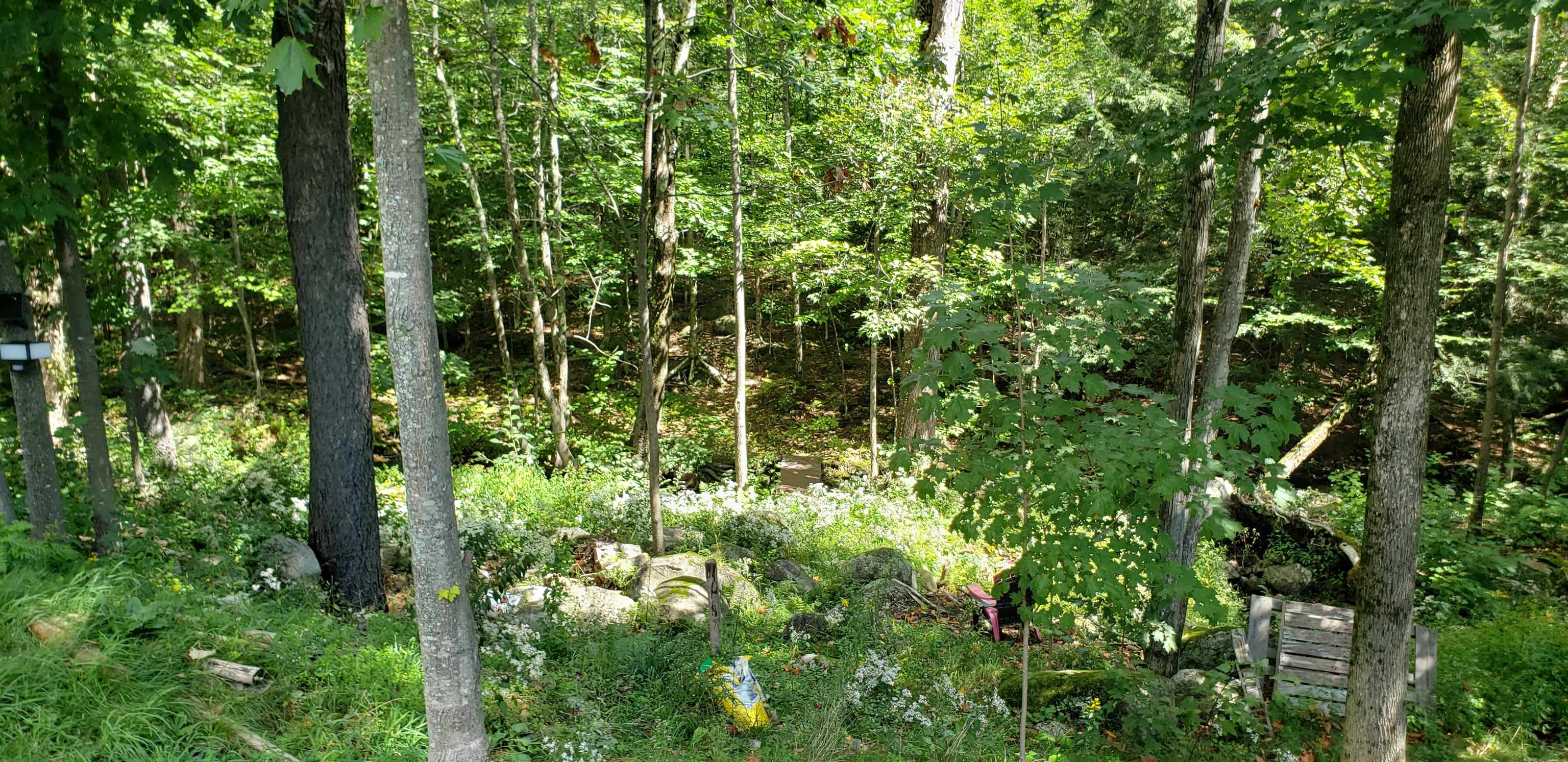 311 Birch Hill Road New Durham, NH 03855 - Photo 33 of 36 Gallery Image 33