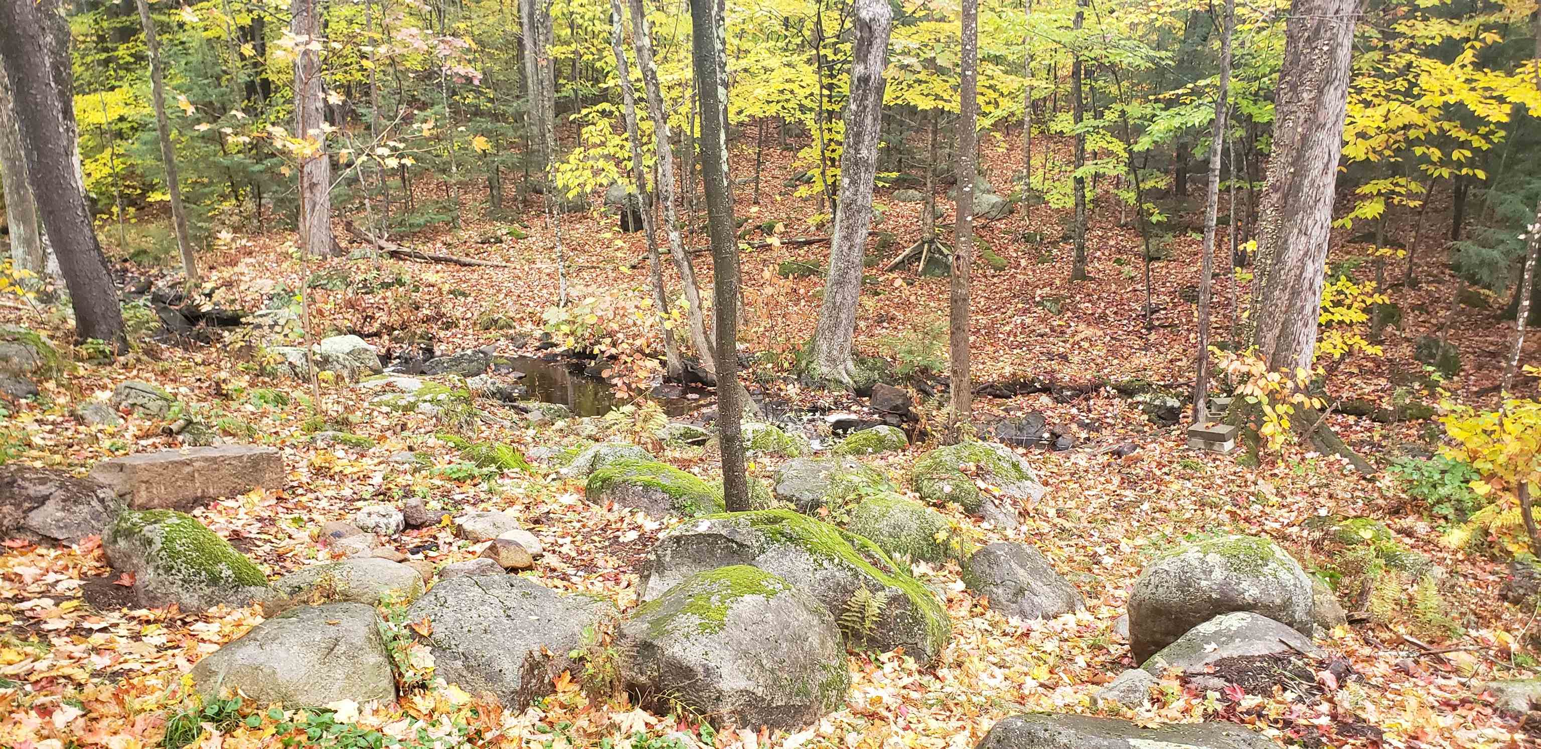 311 Birch Hill Road New Durham, NH 03855 - Photo 8 of 36 Gallery Image 8