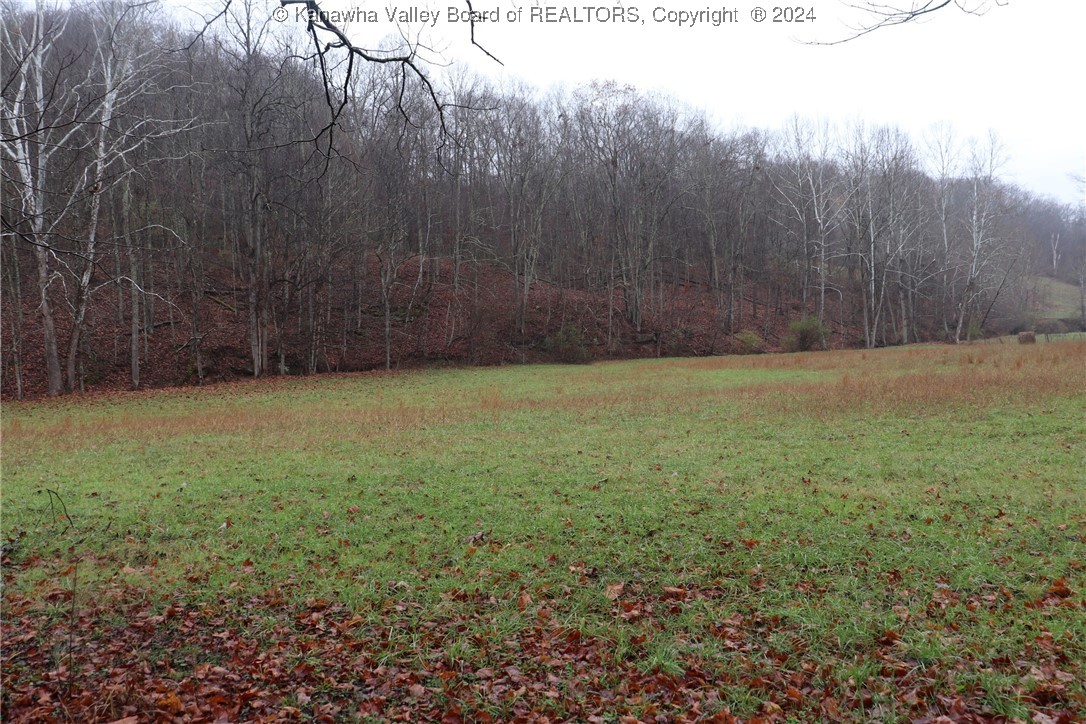0 Colt Run Road Spencer, WV 25276 - Photo 16 of 25 Gallery Image 16