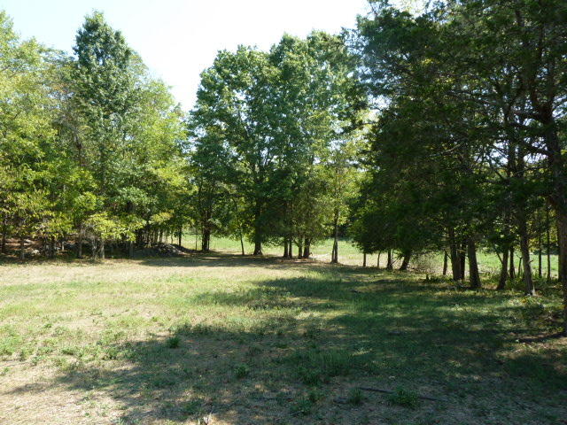 8627 Northeast Emory Road Corryton, TN 37721 - Photo 29 of 31 P1180803
