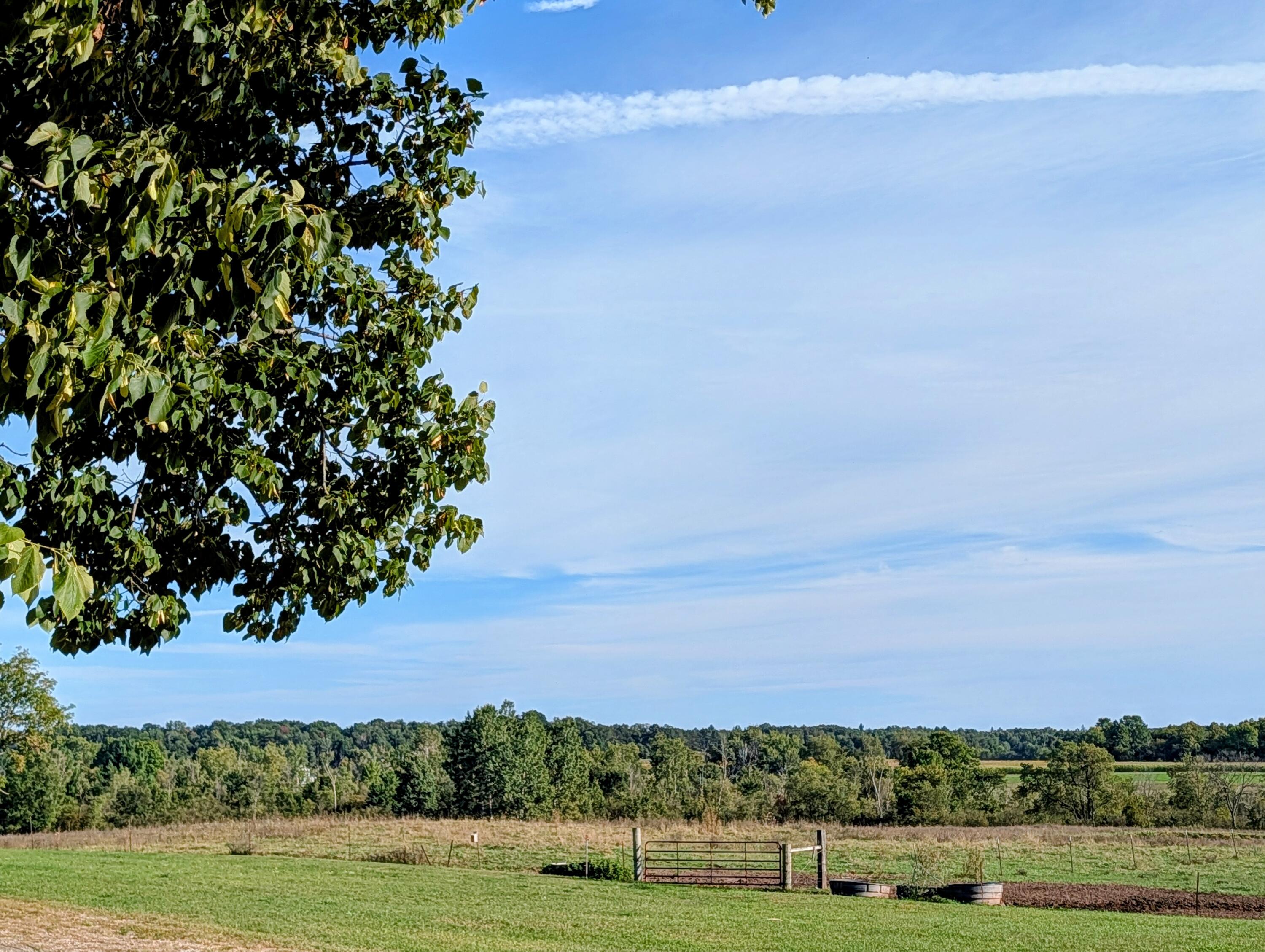 17675 Pierce Road Stanwood, MI 49346 - Photo 53 of 70 PASTURE 2