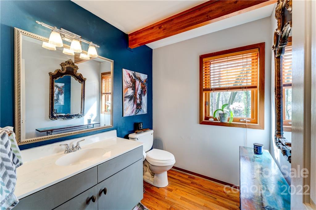 25030 Riley Lane Tega Cay, SC 29708 - Photo 12 of 48 a bathroom with a sink a toilet and a large mirror