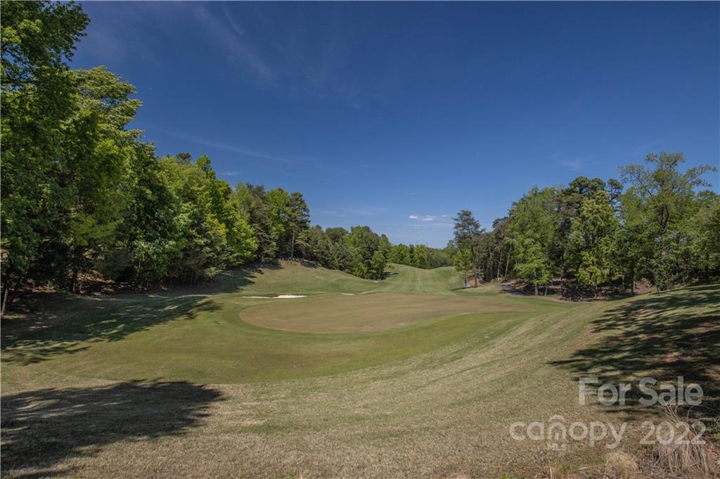 25030 Riley Lane Tega Cay, SC 29708 - Photo 35 of 48 a view of a lake