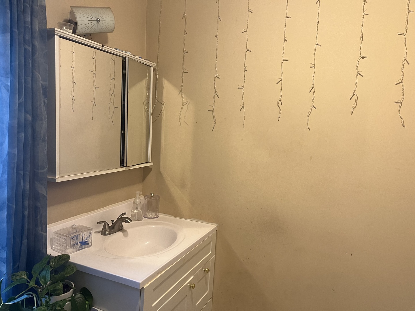 403 South West Street Plano, IL 60545 - Photo 13 of 21 a bathroom with a sink and a mirror