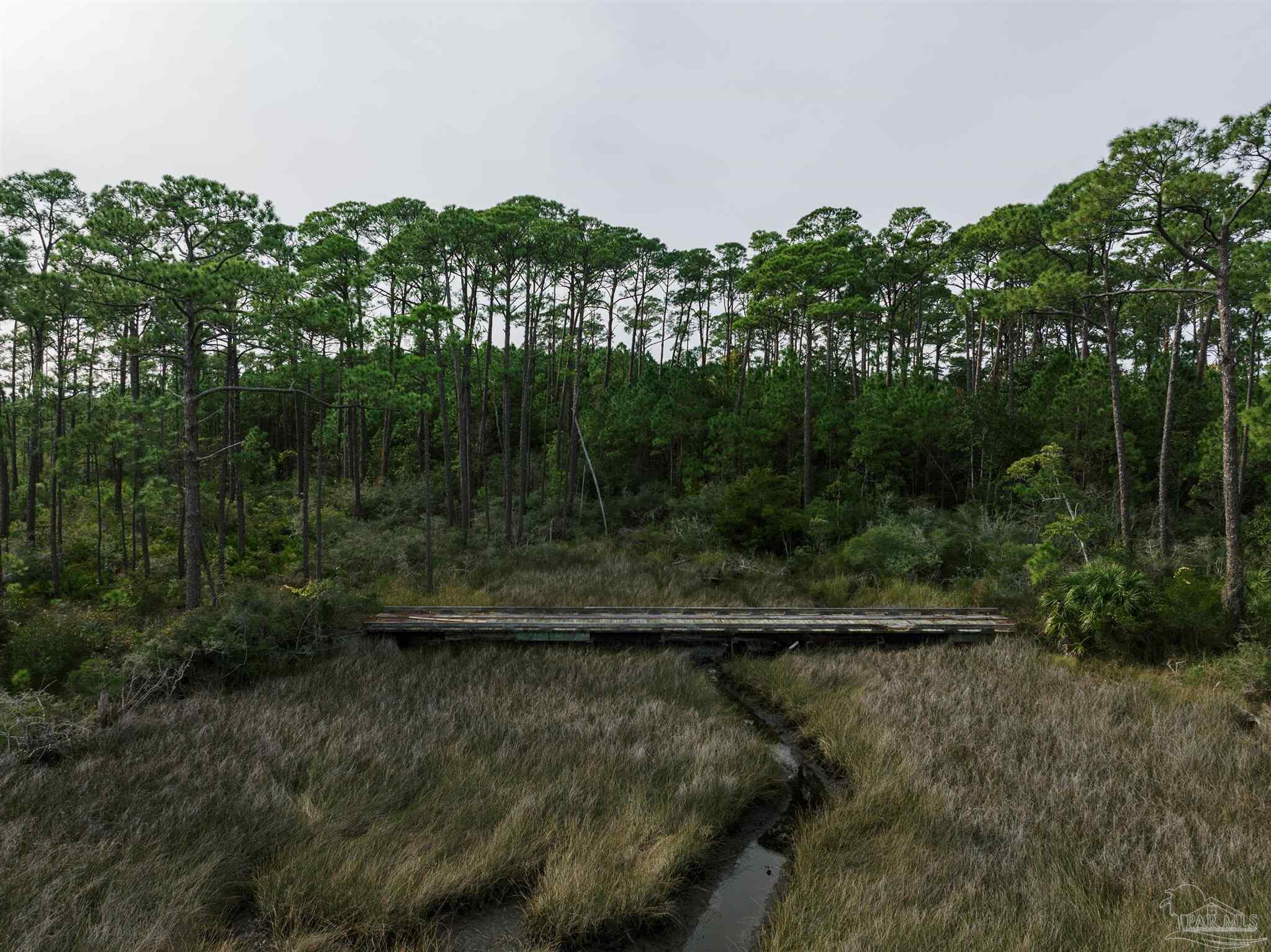 0 Wild Roost Road Gulf Breeze, FL 32563 - Photo 11 of 14