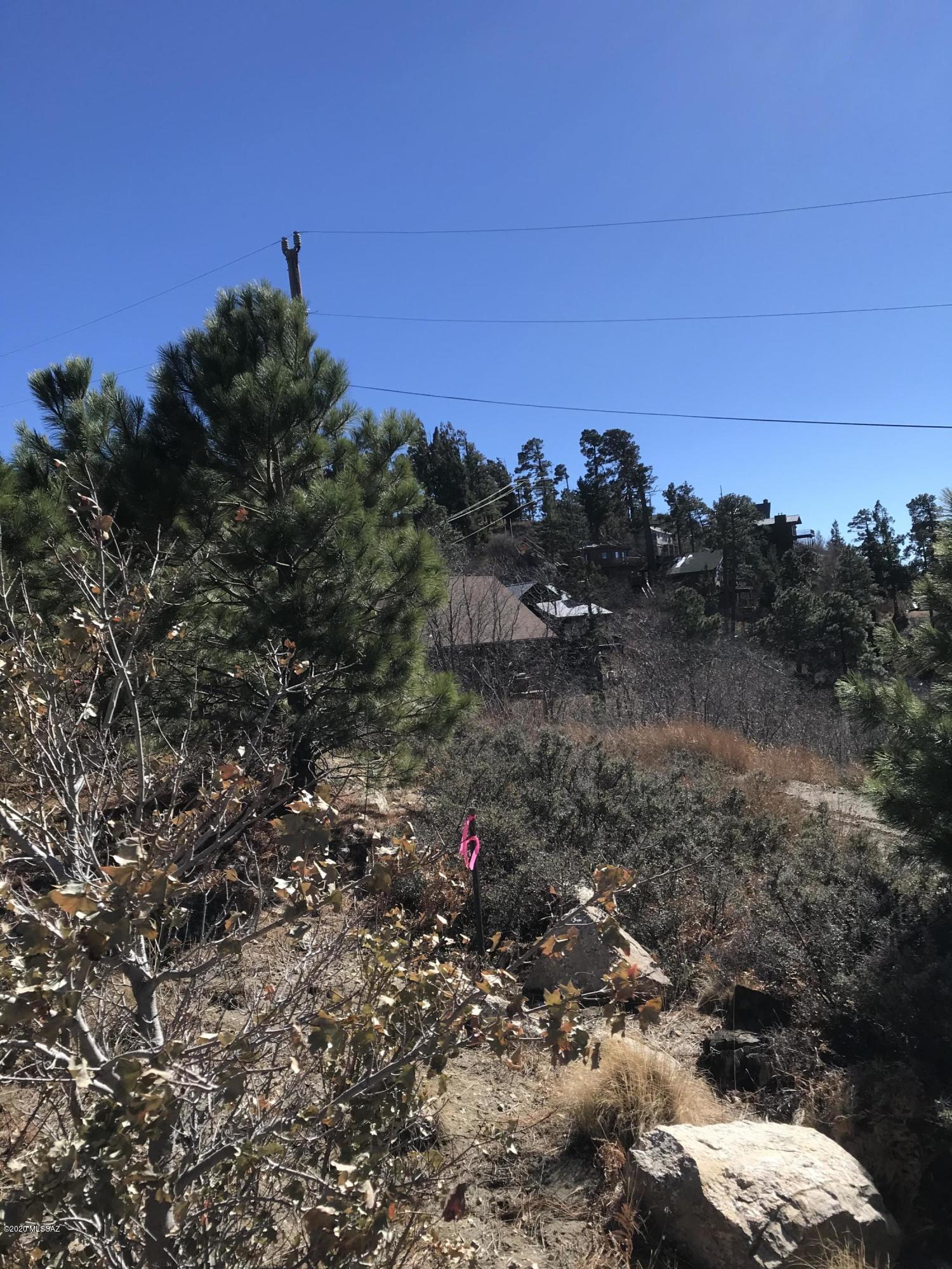 12986 Yuma Road, Unit 4 5 Mount Lemmon, AZ 85619 - Photo 10 of 11