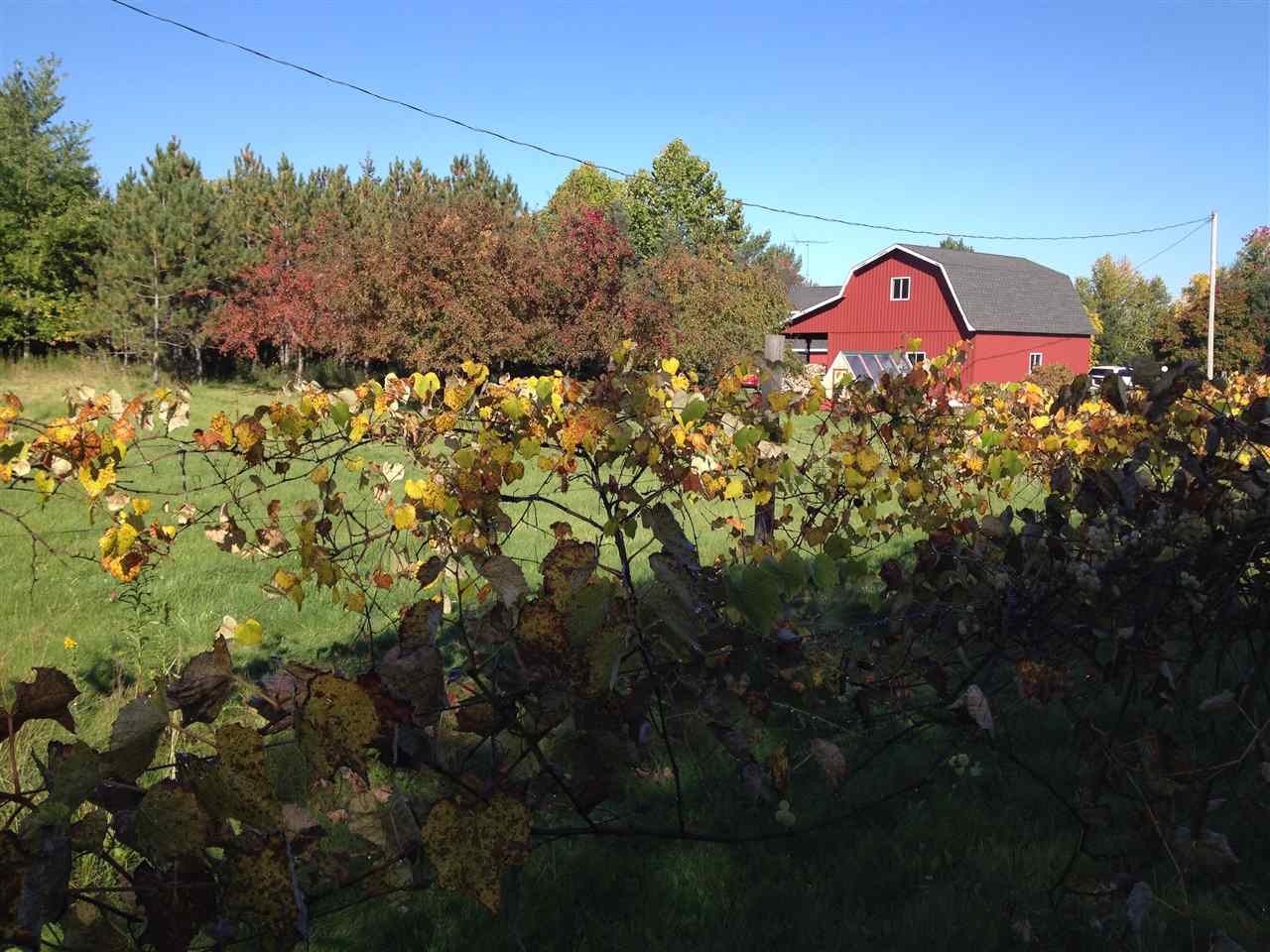7624 West Esmond Road Hale, MI 48739 - Photo 27 of 41 1865342-26.JPG