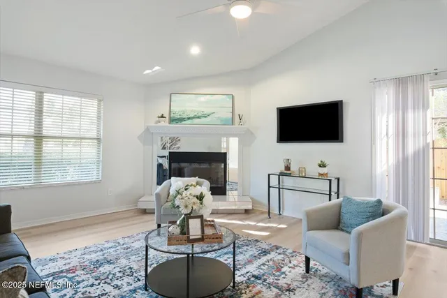 a view of a backyard with plants