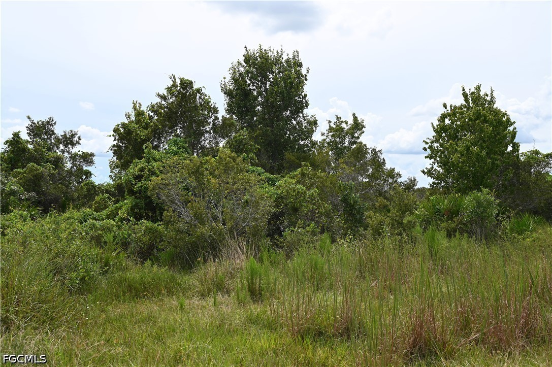 0 County Line Road East Bowling Green, FL 33834 - Photo 18 of 20