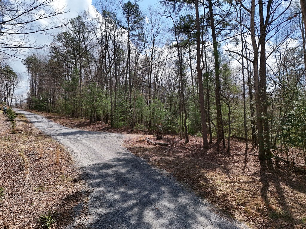 Lot 117 Laurel Trace Blue Ridge, GA 30513 - Photo 6 of 20 Gallery Image 6