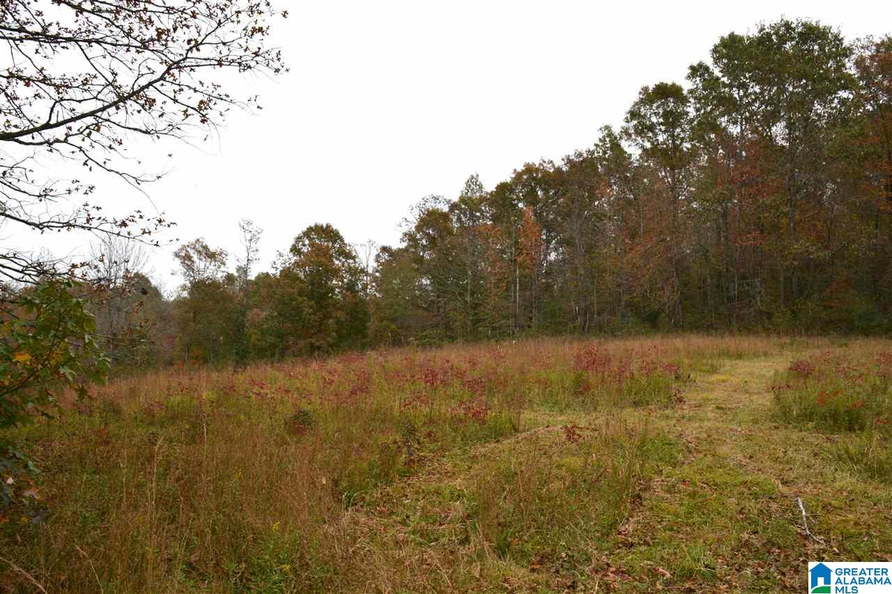0 Jackson Loop Road, Unit 1 Ragland, AL 35131 - Photo 20 of 27