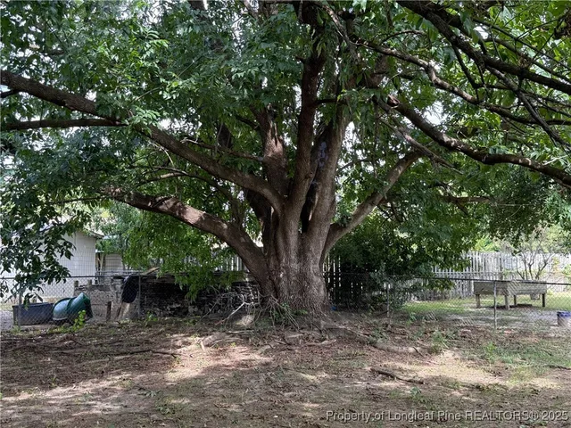 a view of a trees in a yard