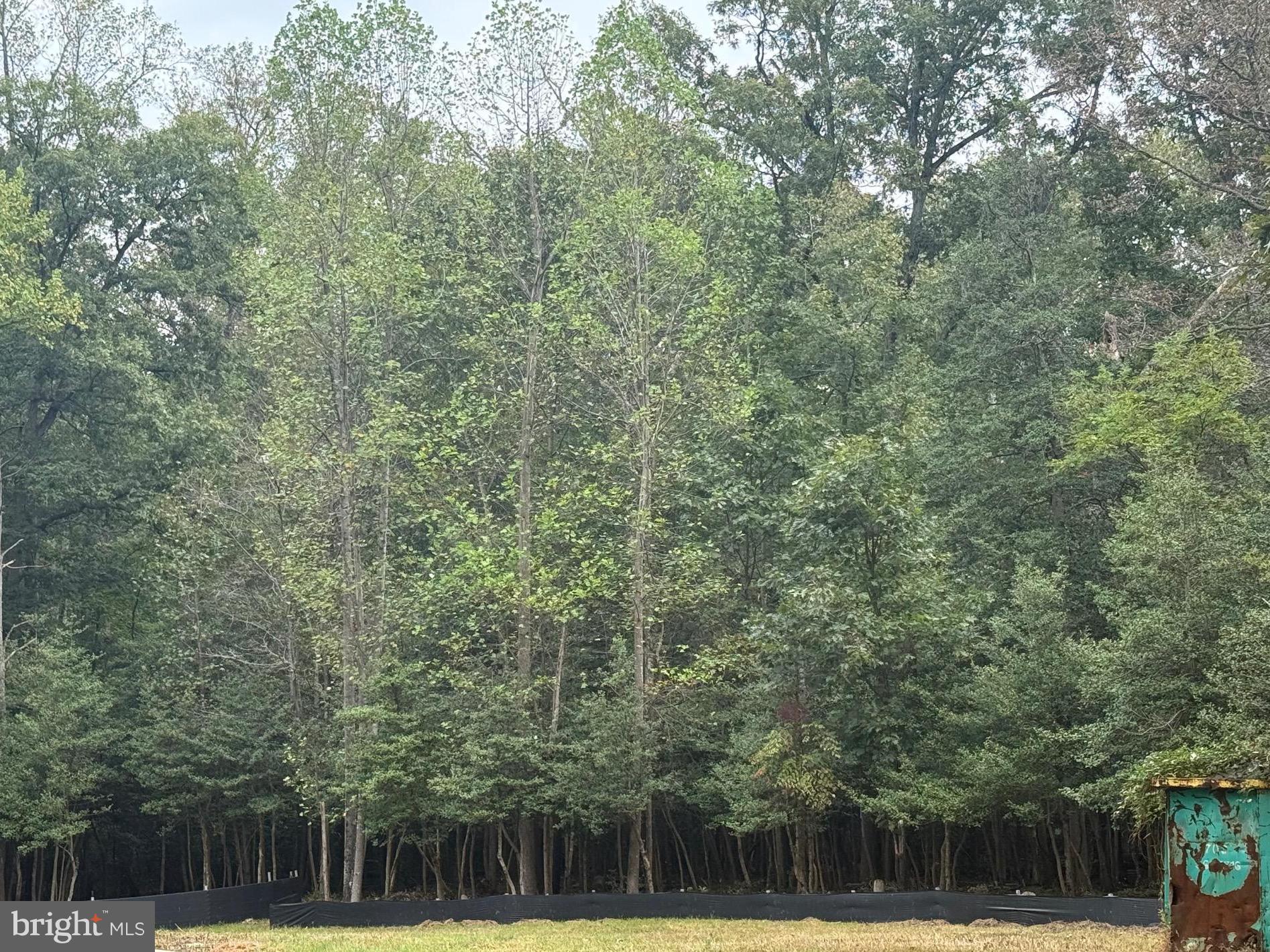Old Indian Head Road Brandywine, MD 20613 - Photo 2 of 6 a view of house with a outdoor space
