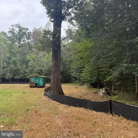 a view of a yard with a tree