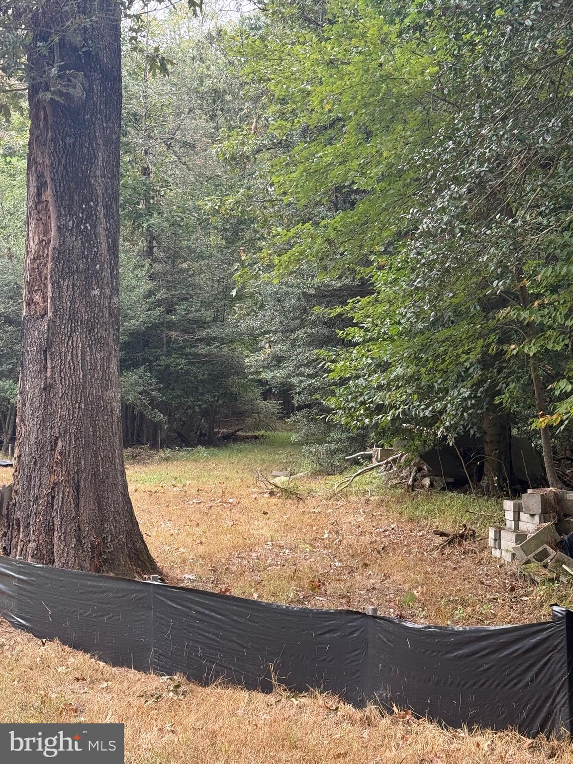 Old Indian Head Road Brandywine, MD 20613 - Photo 4 of 6 a view of a yard with wooden fence