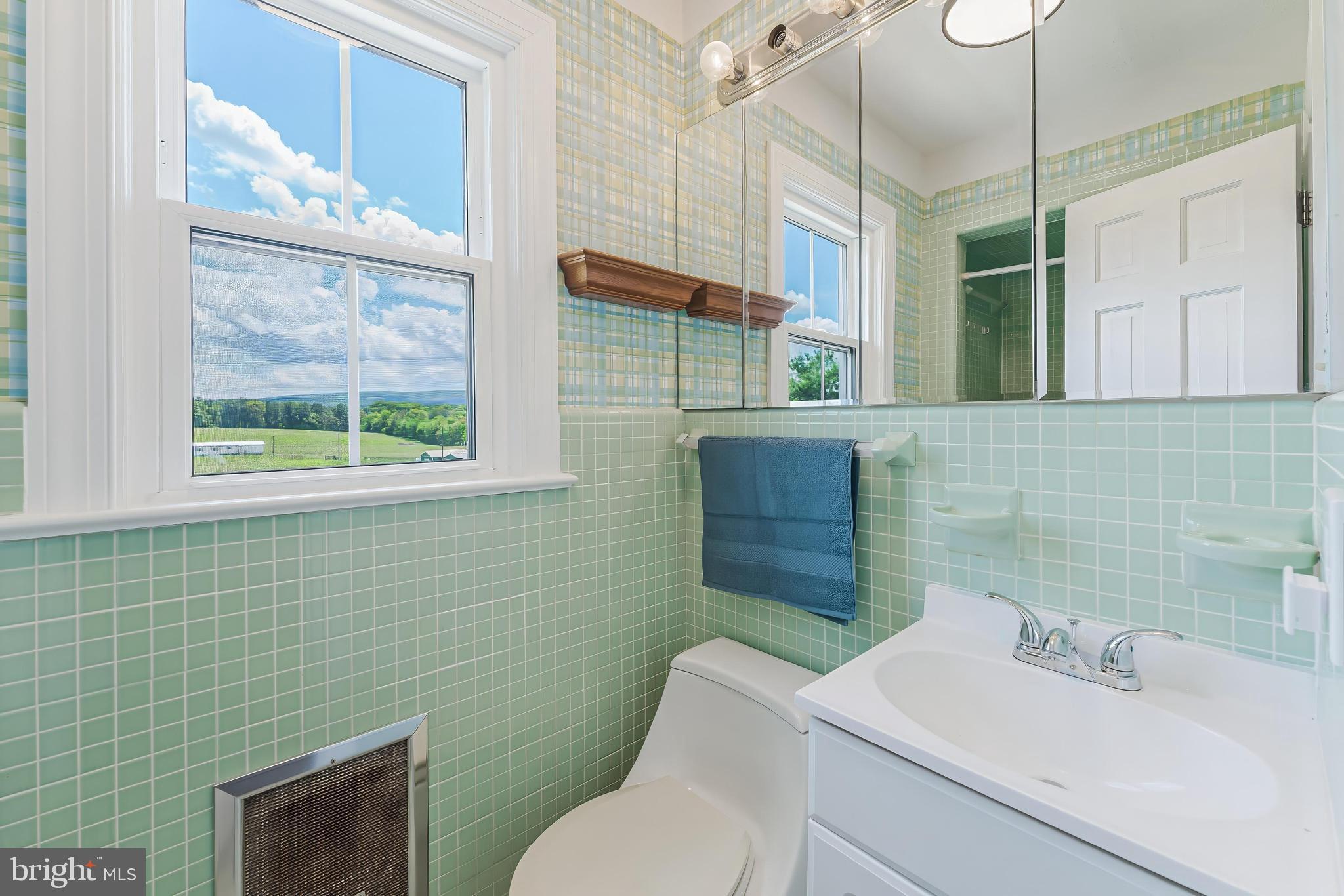 367 Kennel Road Boyce, VA 22620 - Photo 33 of 88 Primary bath