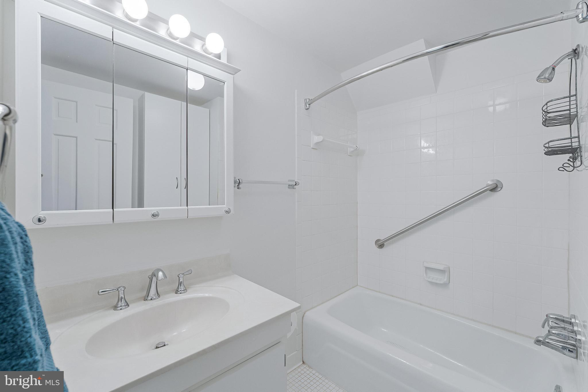 367 Kennel Road Boyce, VA 22620 - Photo 43 of 88 3rd full bath