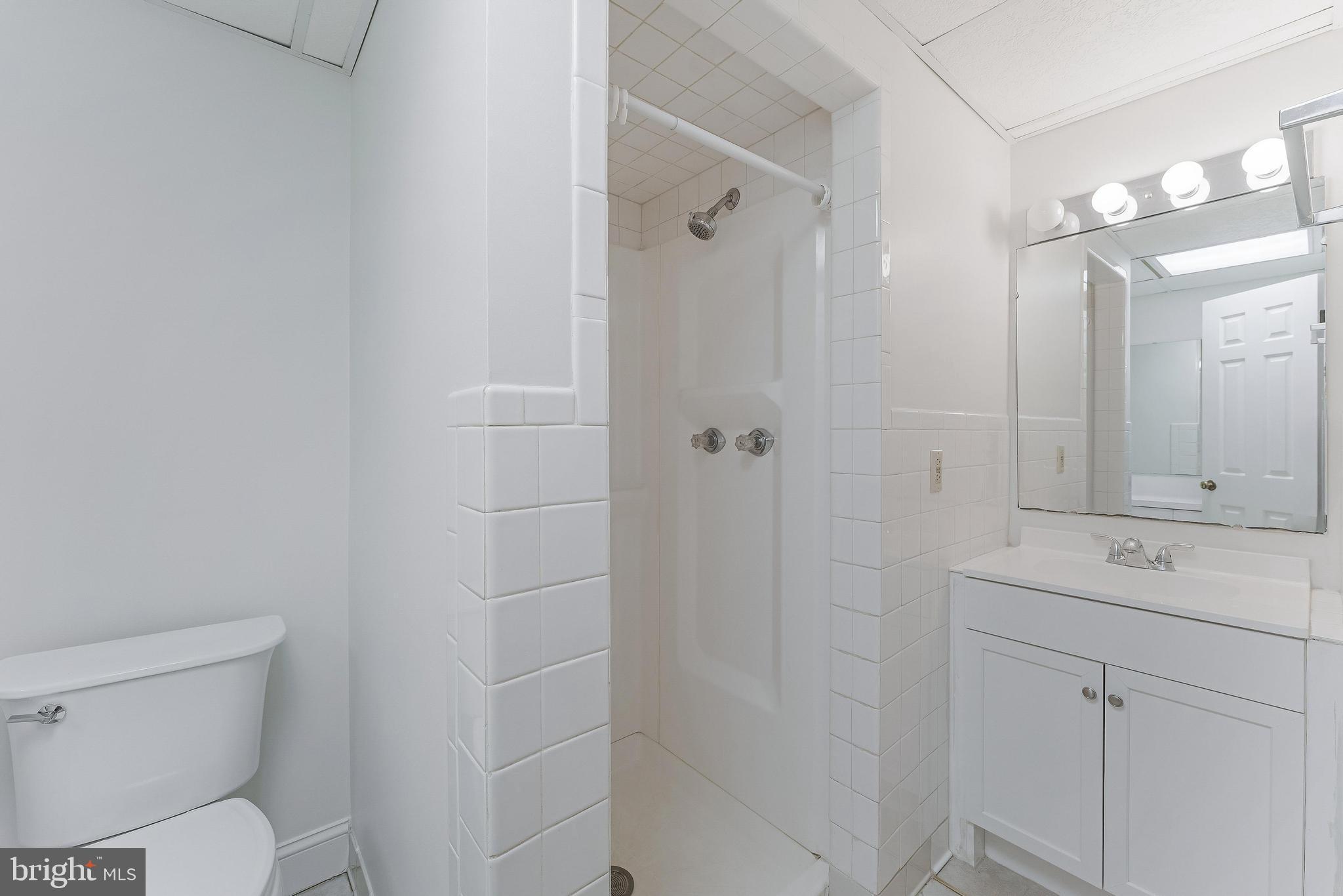 367 Kennel Road Boyce, VA 22620 - Photo 50 of 88 Basement full bath