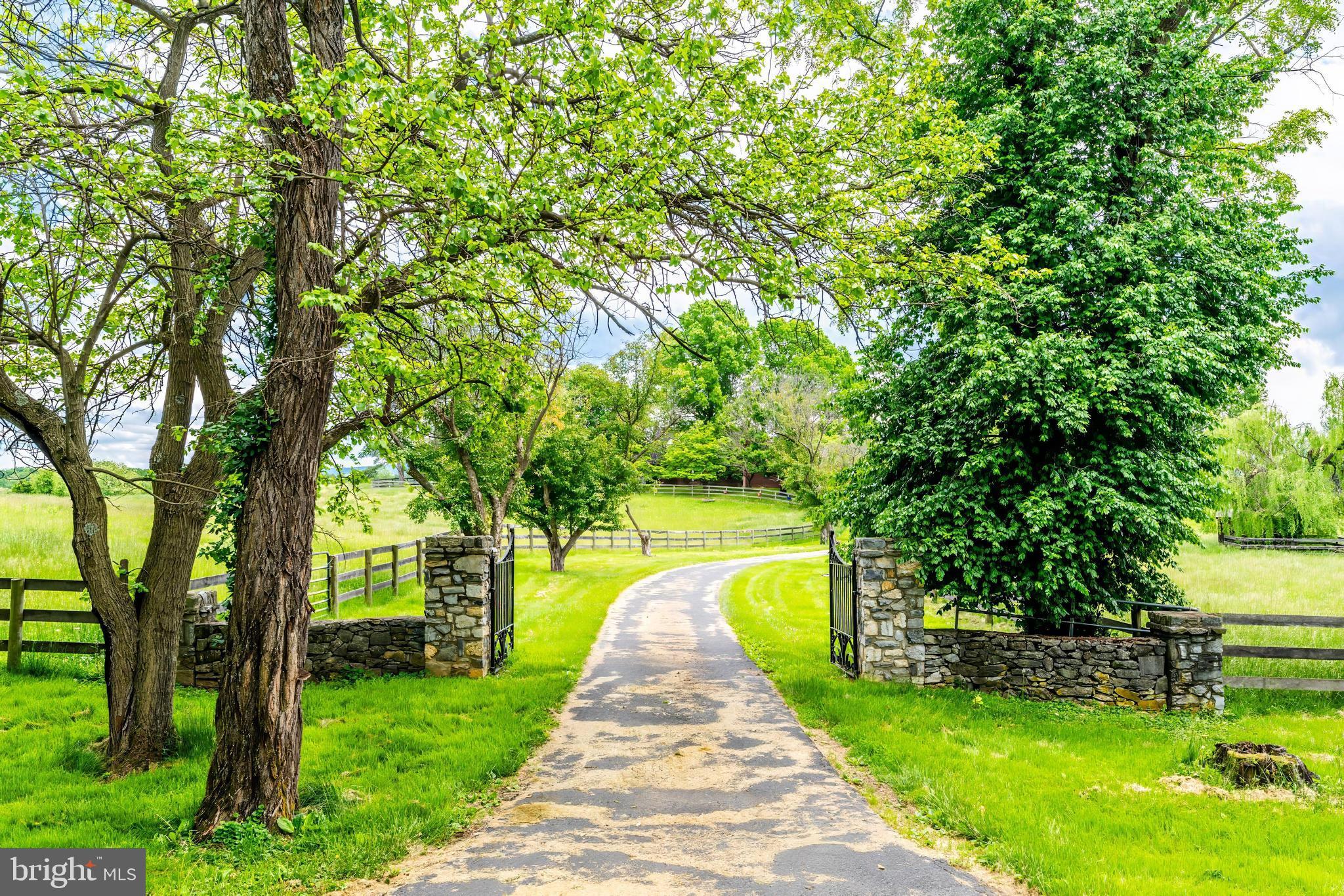 367 Kennel Road Boyce, VA 22620 - Photo 5 of 88 Private gated driveway