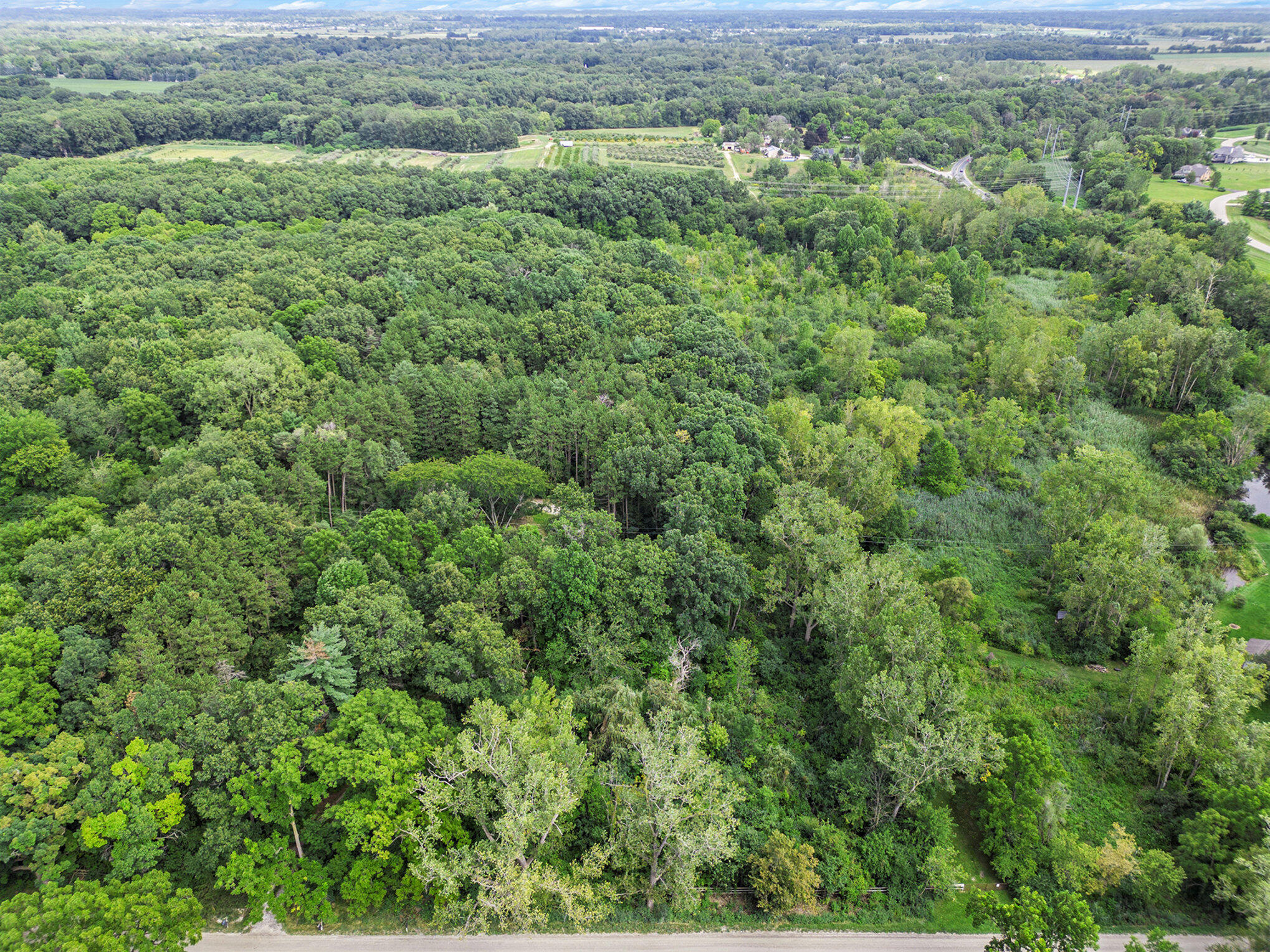 8841 Crane Road Milan, MI 48160 - Photo 27 of 33 026_dji_0991