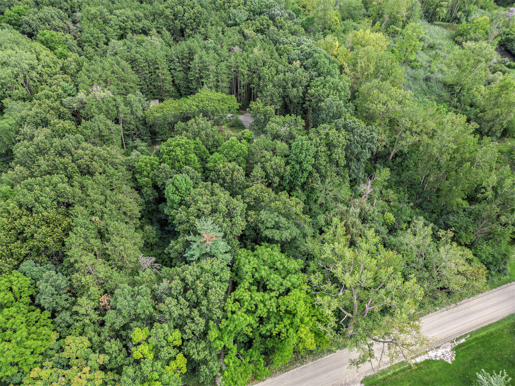 8841 Crane Road Milan, MI 48160 - Photo 28 of 33 027_dji_0997