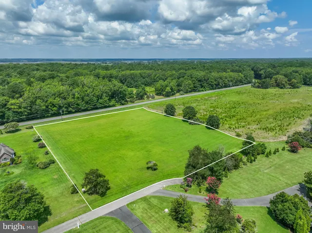 a view of a field and a yard
