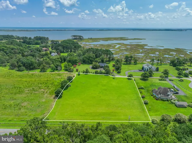a view of an outdoor space and a yard