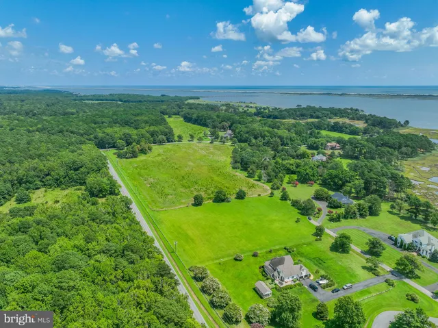 a view of yard with green space