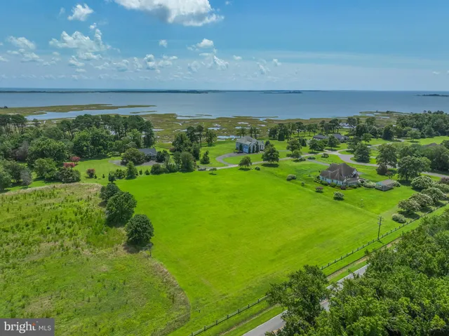a view of a green field with lots of green space
