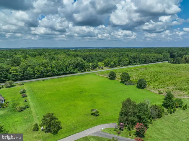 a view of a green field with lots of green space