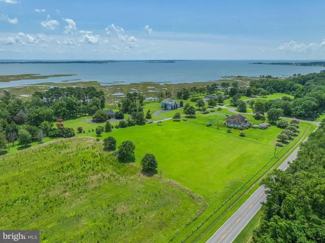 a view of a big yard with large trees