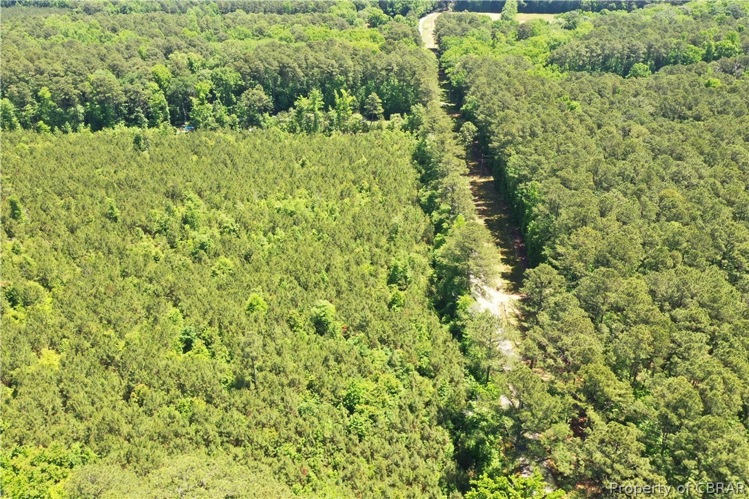 16-ac Ridge Road Cobbs Creek, VA 23035 - Photo 33 of 43 View of drone / aerial view