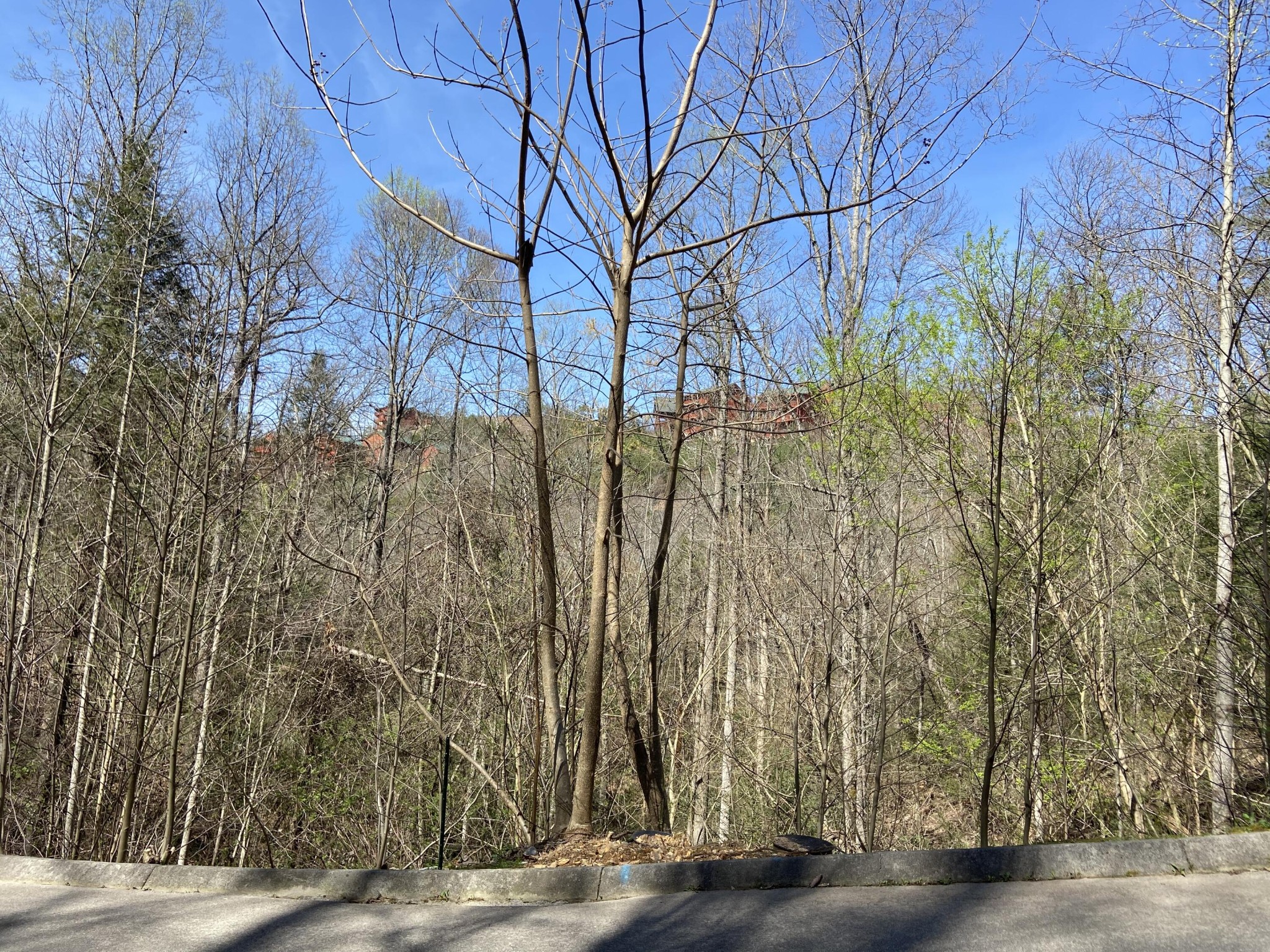 71 Smoky Ridge Way Sevierville, TN 37862 - Photo 1 of 12 a view of a backyard of the house