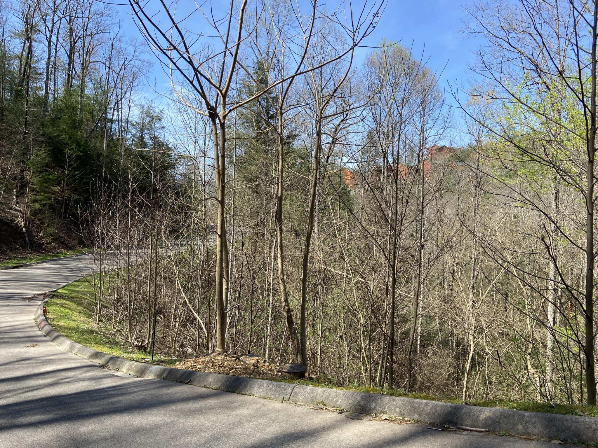 71 Smoky Ridge Way Sevierville, TN 37862 - Photo 3 of 12