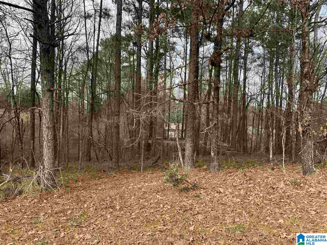 Sunset Road, Unit 86 Odenville, AL 35120 - Photo 1 of 7