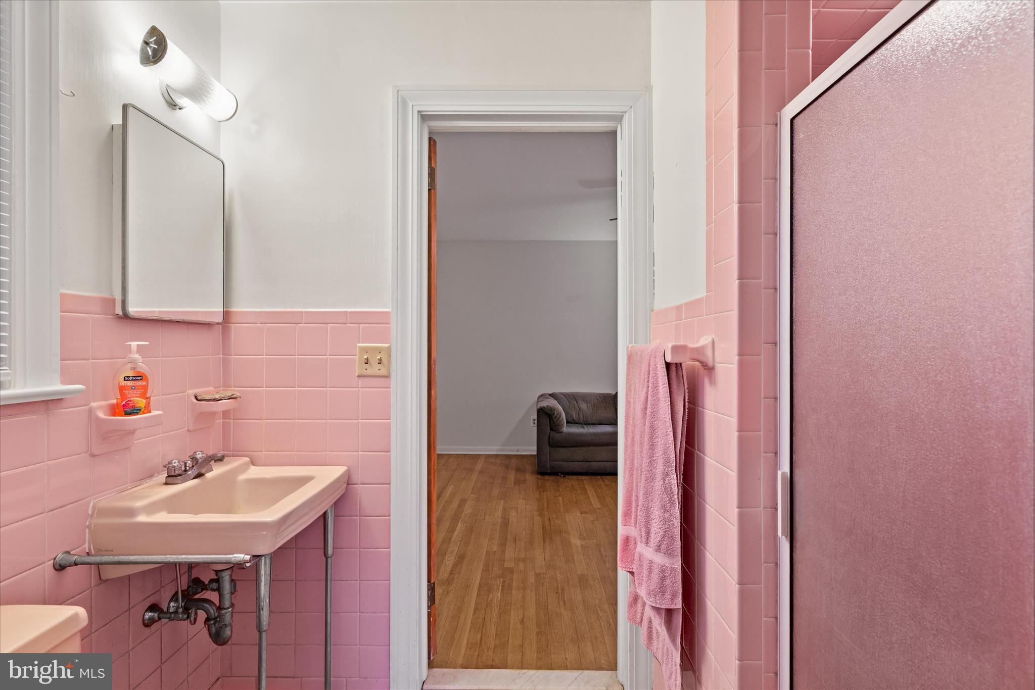 625 Pine Bluff Road Salisbury, MD 21801 - Photo 23 of 37 a bathroom with a sink a mirror and a shower
