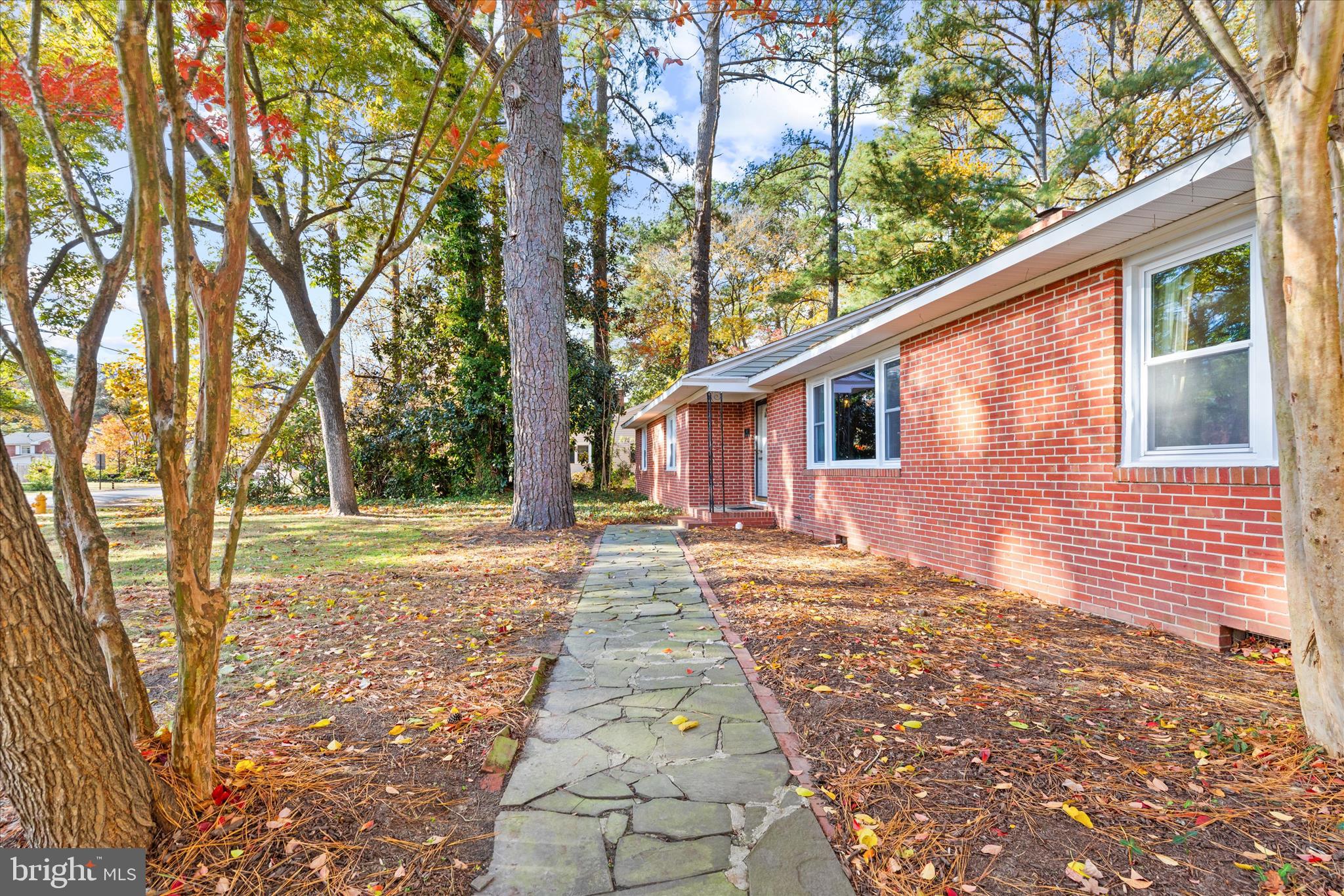 625 Pine Bluff Road Salisbury, MD 21801 - Photo 4 of 37 a view of a backyard with large trees