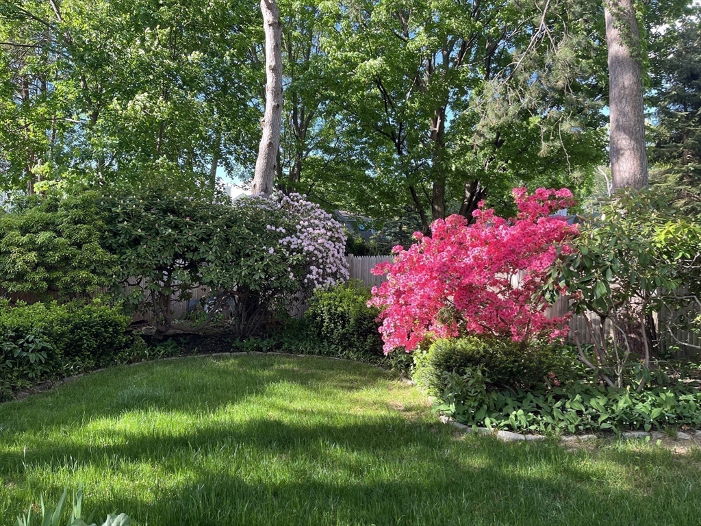 19 Intervale Road Needham, MA 02492 - Photo 23 of 29 Gallery Image 23