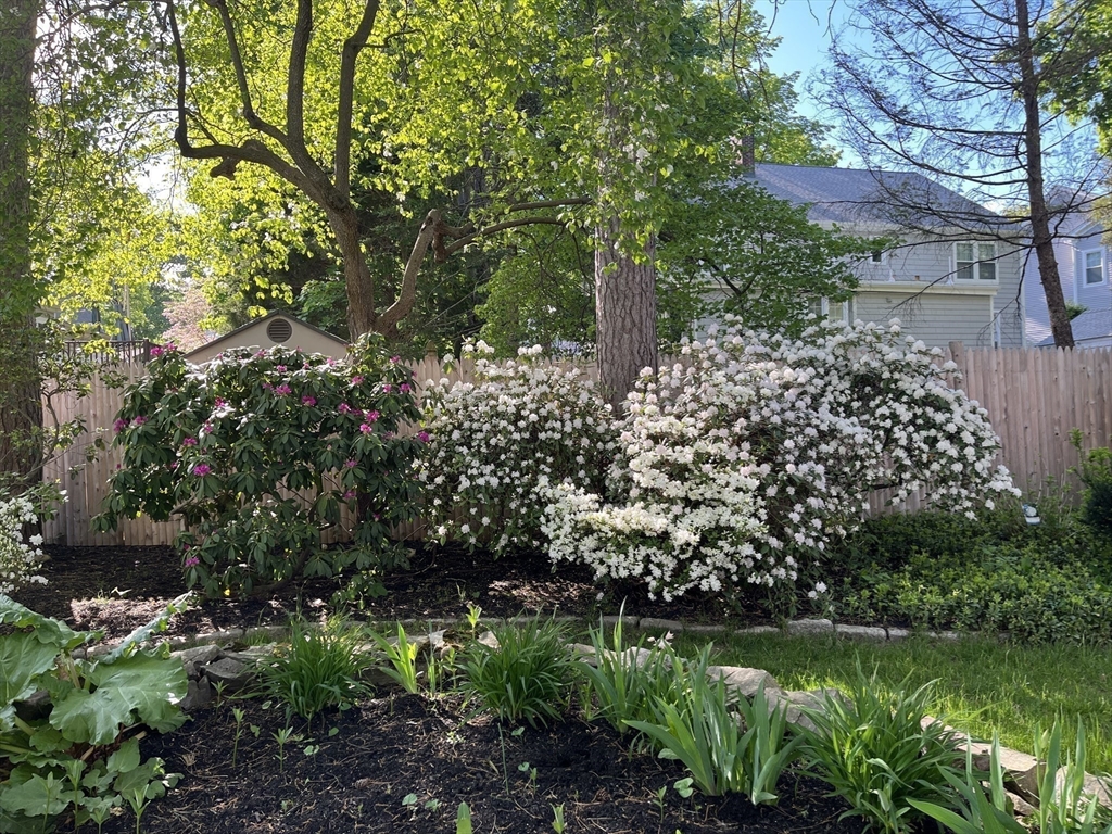19 Intervale Road Needham, MA 02492 - Photo 24 of 29 Gallery Image 24