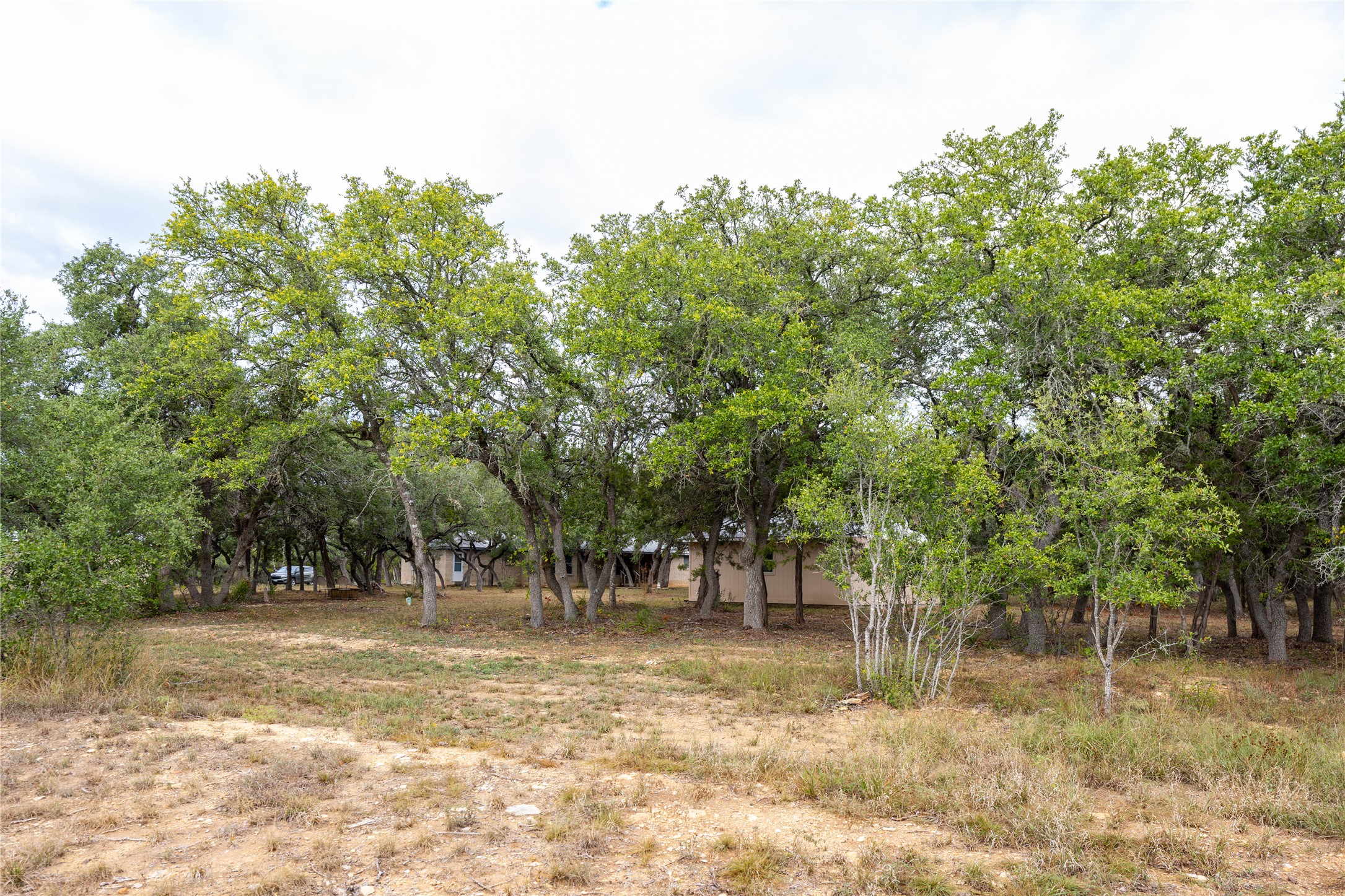 2501 Fischer Store Road Wimberley, TX 78676 - Photo 17 of 23 Wooded property featuring mature trees and natural ground cover