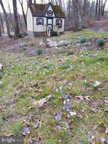 902 Spruce Grove Road Oxford, PA 19363 - Photo 56 of 59 Flowers bloom along the hillside