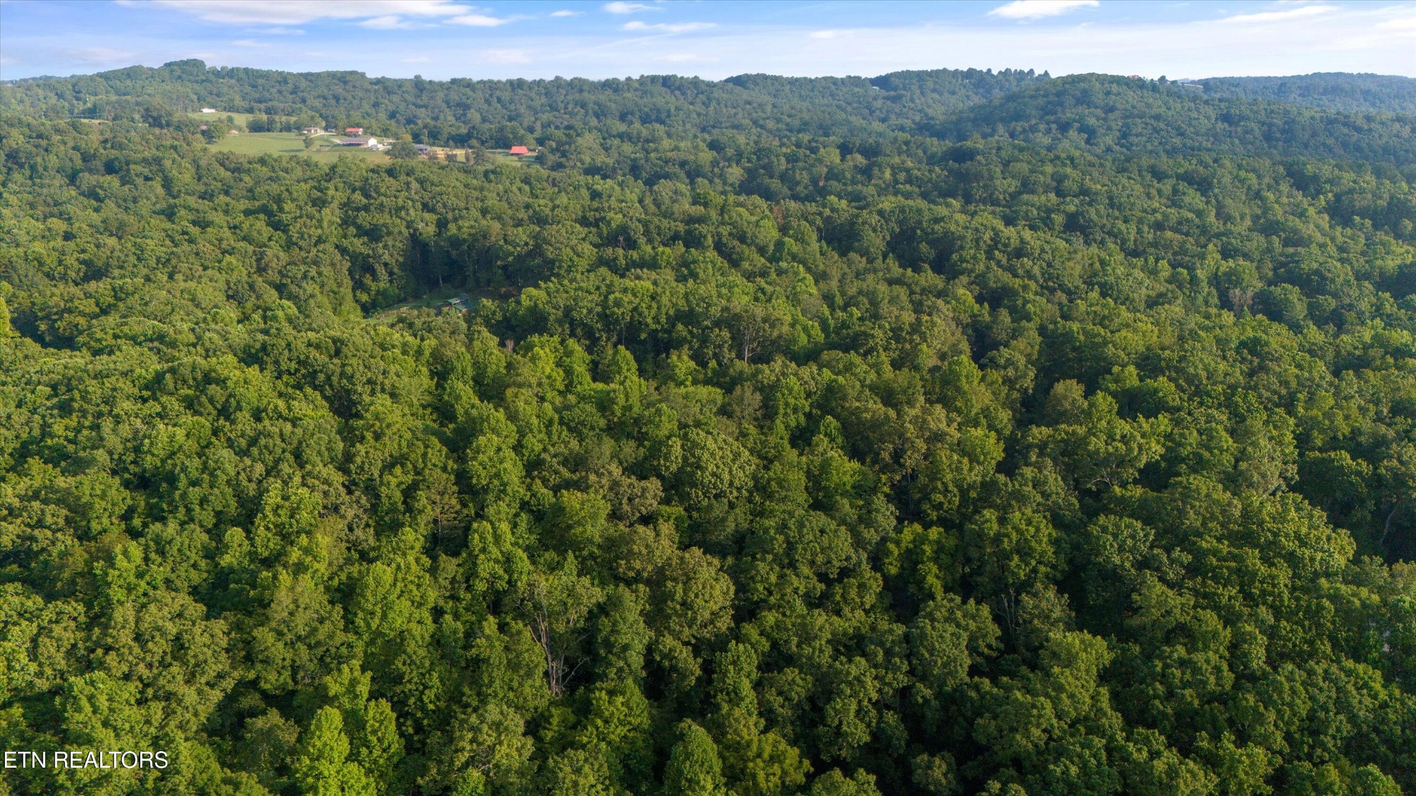 0 Ridge Top Road Andersonville, TN 37705 - Photo 15 of 17 Gallery Image 15