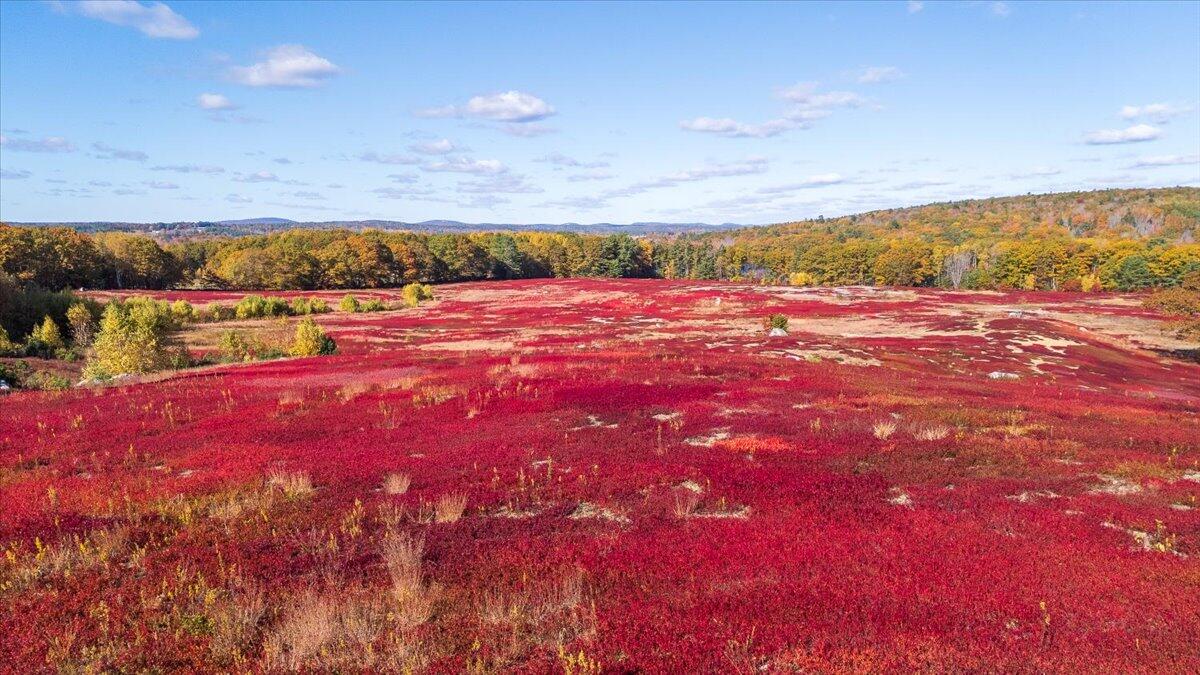 1443 Old Augusta Road Waldoboro, ME 04572 - Photo 11 of 15 1443 Old Augusta Road, Waldoboro