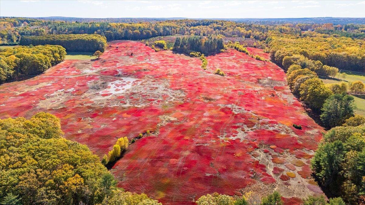 1443 Old Augusta Road Waldoboro, ME 04572 - Photo 6 of 15 1443 Old Augusta Road, Waldoboro