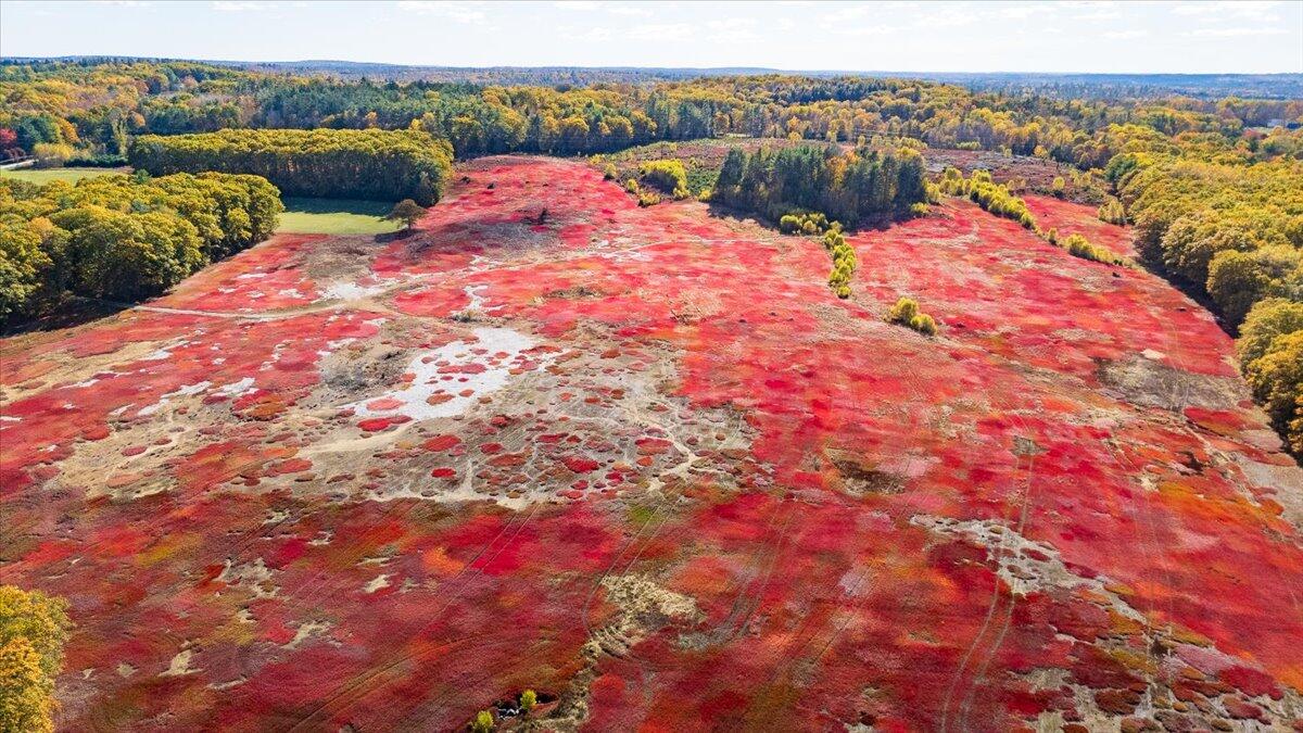 1443 Old Augusta Road Waldoboro, ME 04572 - Photo 7 of 15 1443 Old Augusta Road, Waldoboro