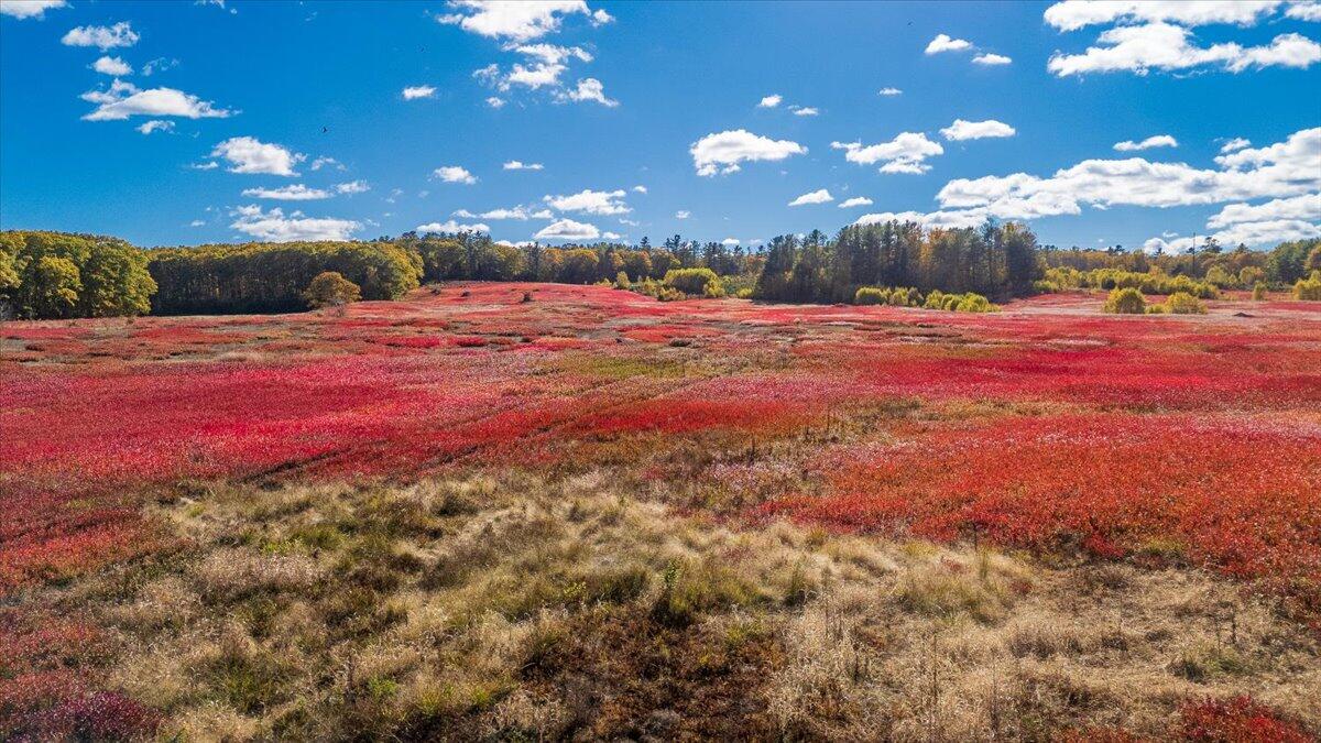 1443 Old Augusta Road Waldoboro, ME 04572 - Photo 8 of 15 1443 Old Augusta Road, Waldoboro