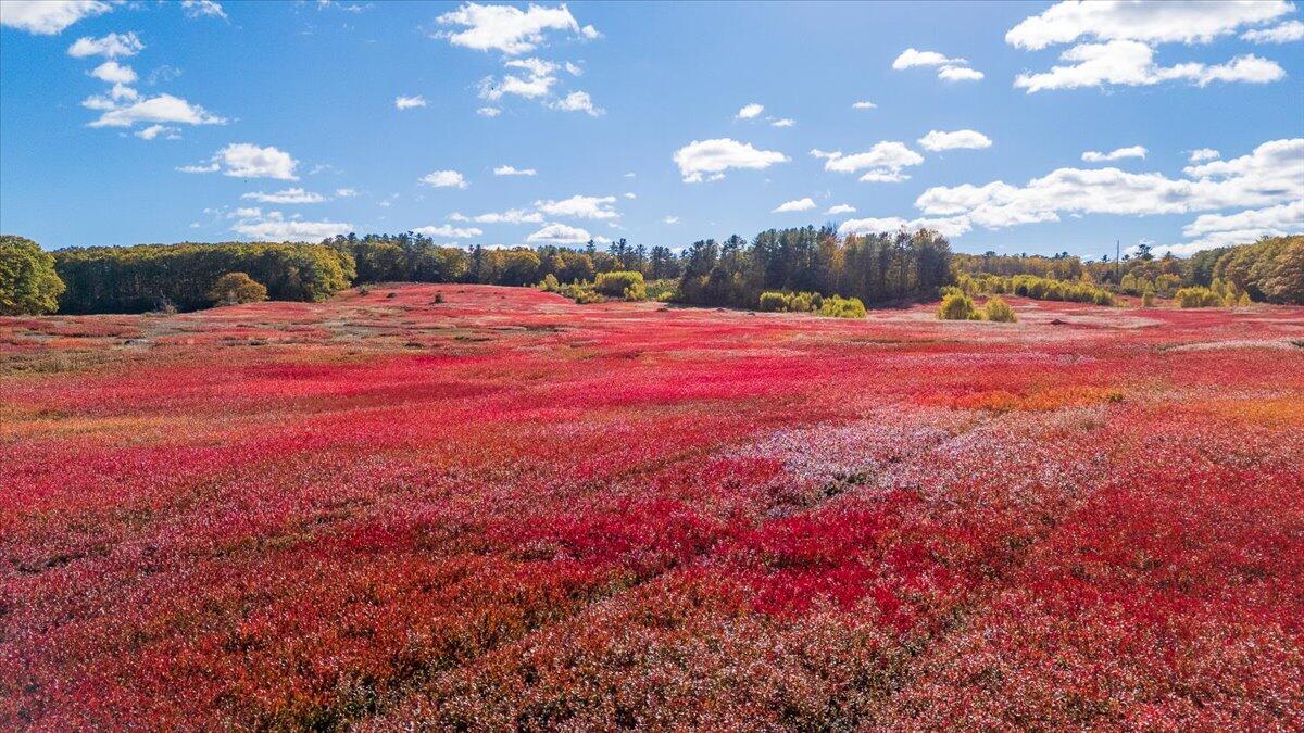 1443 Old Augusta Road Waldoboro, ME 04572 - Photo 9 of 15 1443 Old Augusta Road, Waldoboro